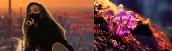 дживик Арсеньев
