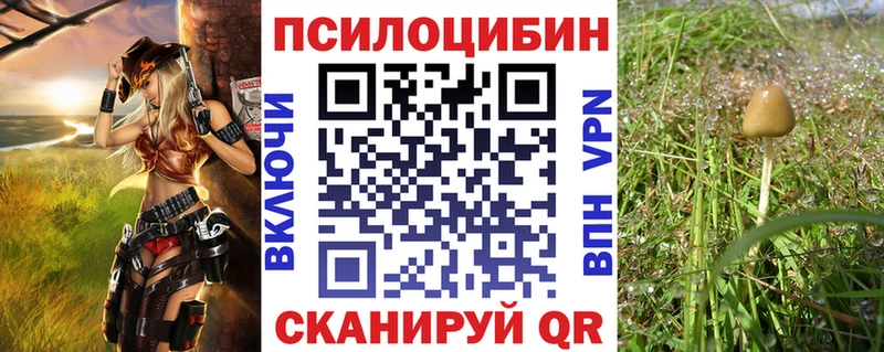 Галлюциногенные грибы MAGIC MUSHROOMS  Кубинка 